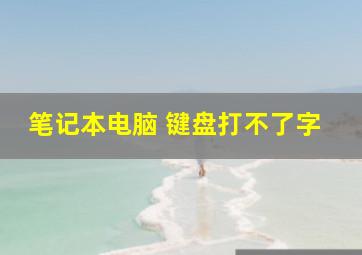 笔记本电脑 键盘打不了字